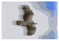  blur()